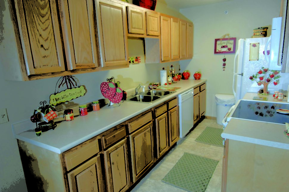 1 Bedroom Apartments Morgantown WV