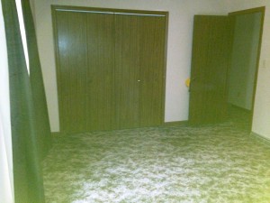 Townhomes in Morgantown WV